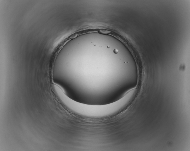 X0000113131261200909251231