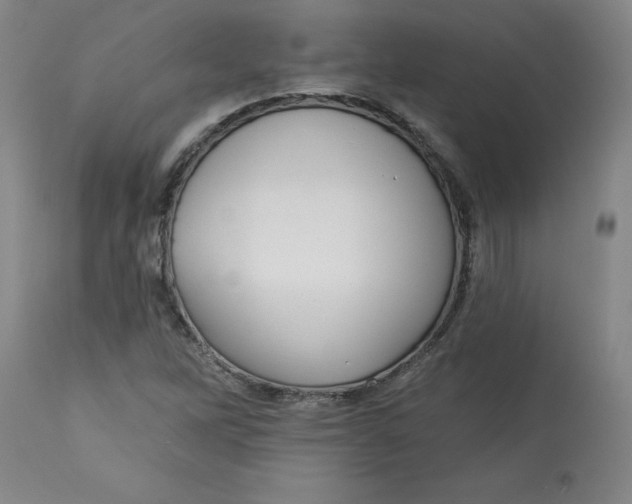 X0000113131262200909251231