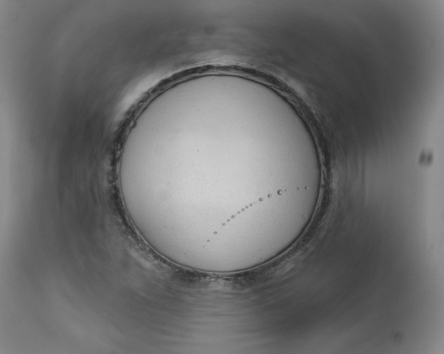 X0000113131263200909251231