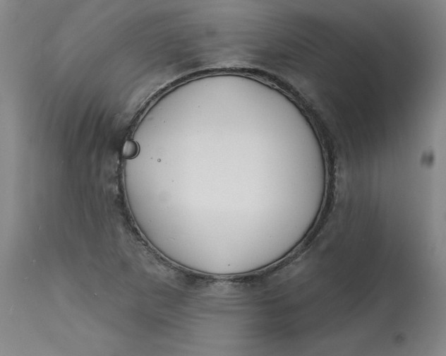 X0000113131265200909251231