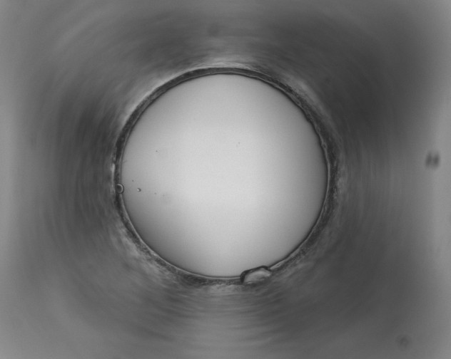 X0000113131268200909251231