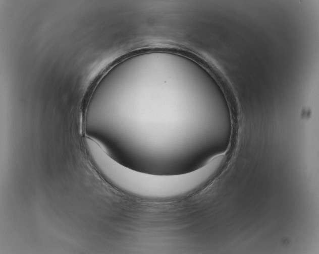 X0000113131269200909251231