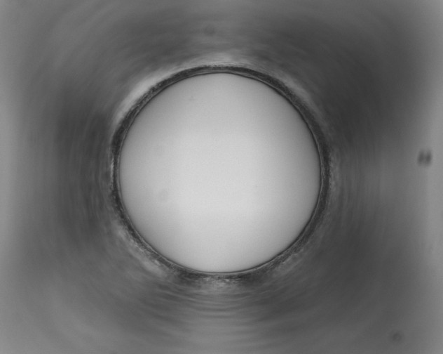 X0000113131270200909251231