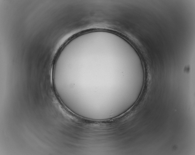 X0000113131272200909251231