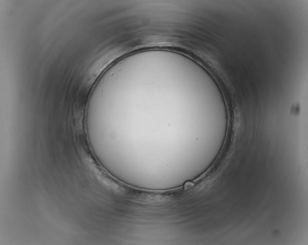 X0000113131273200909251231