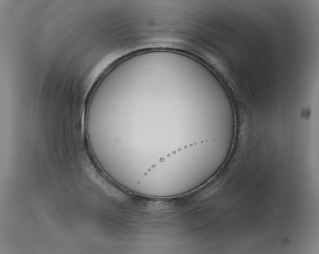 X0000113131275200909251231