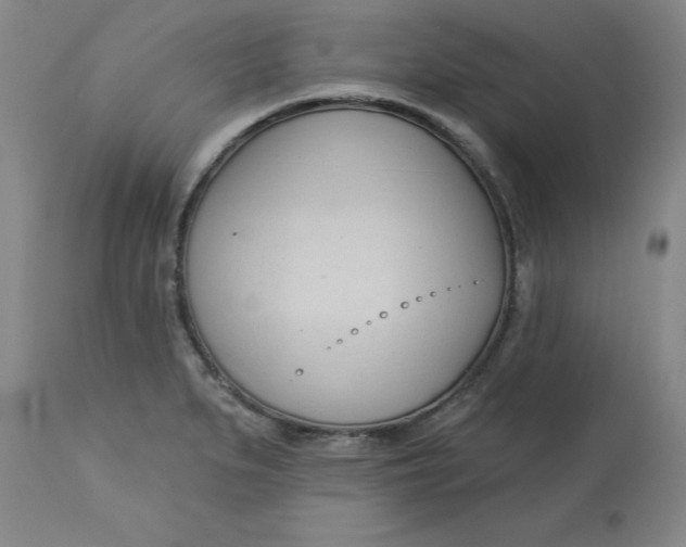 X0000113131279200909251230