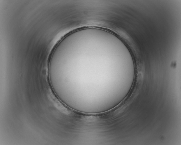 X0000113131280200909251230