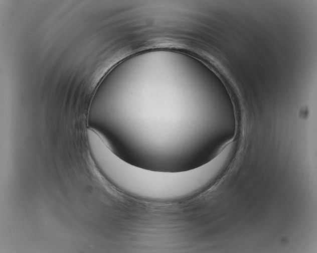 X0000113131281200909251230