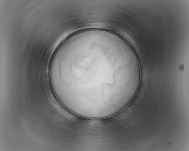 X0000113131283200909251230