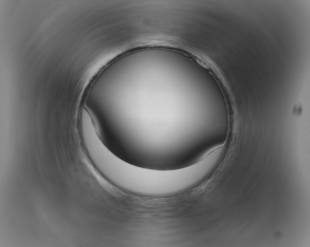 X0000113131285200909251230