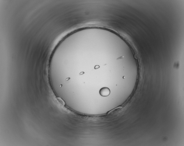 X0000113131288200909251230