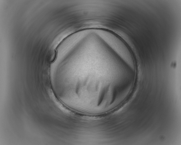 X0000113131289200909251230