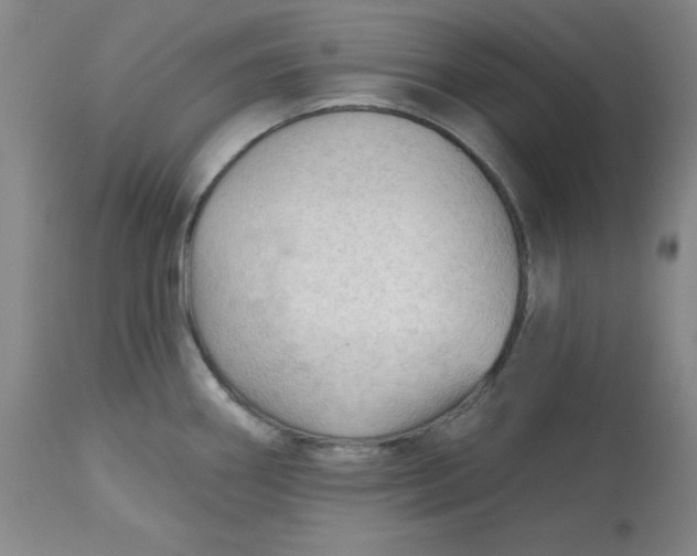 X0000113131290200909251230