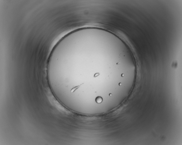 X0000113131292200909251230