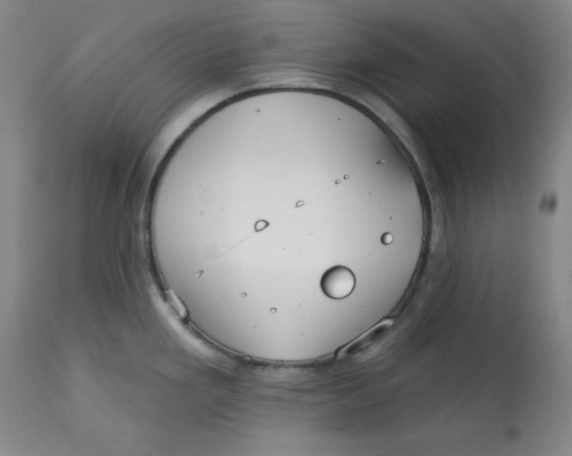 X0000113131293200909251230