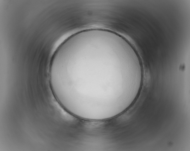 X0000113131294200909251230