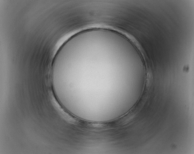 X0000113131295200909251230