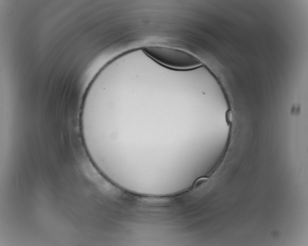 X0000113131296200909251230