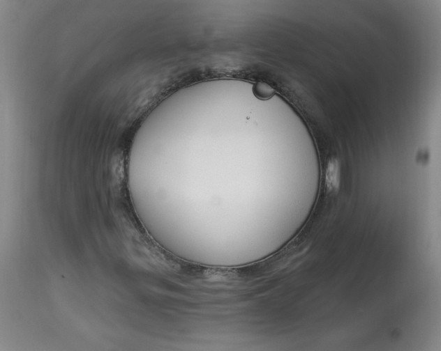 X0000113131299200909251229