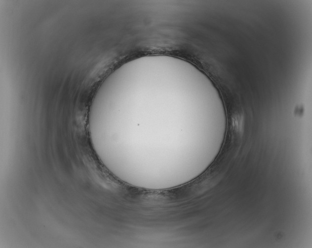 X0000113131300200909251229