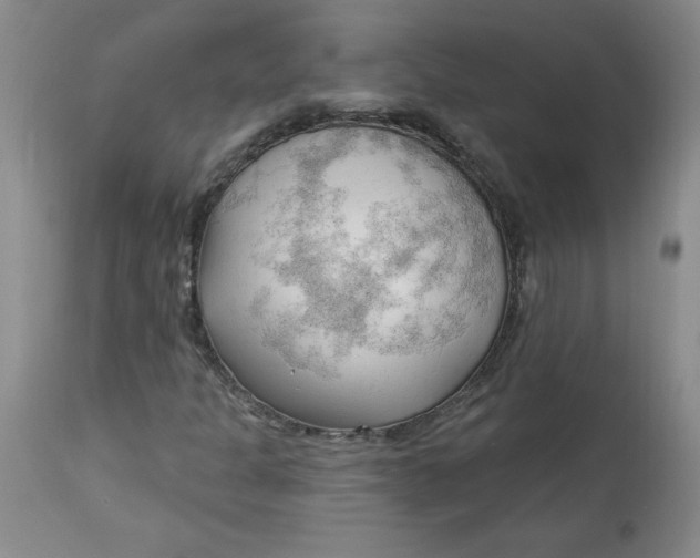 X0000113131301200909251229