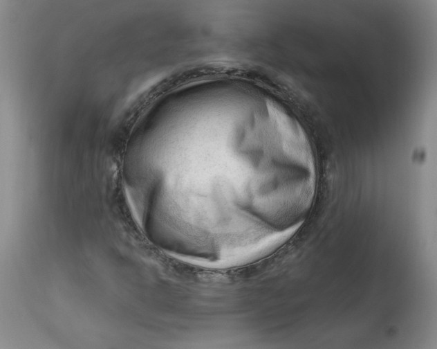 X0000113131302200909251229