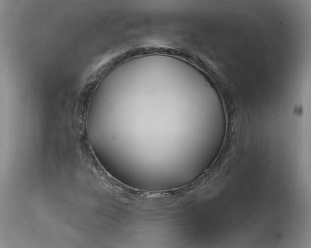 X0000113131303200909251229