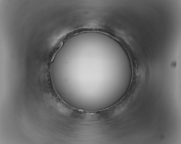 X0000113131304200909251229