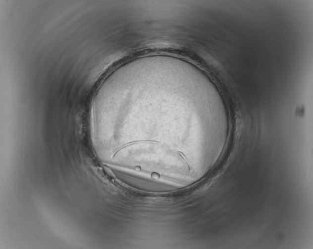 X0000113131305200909251229