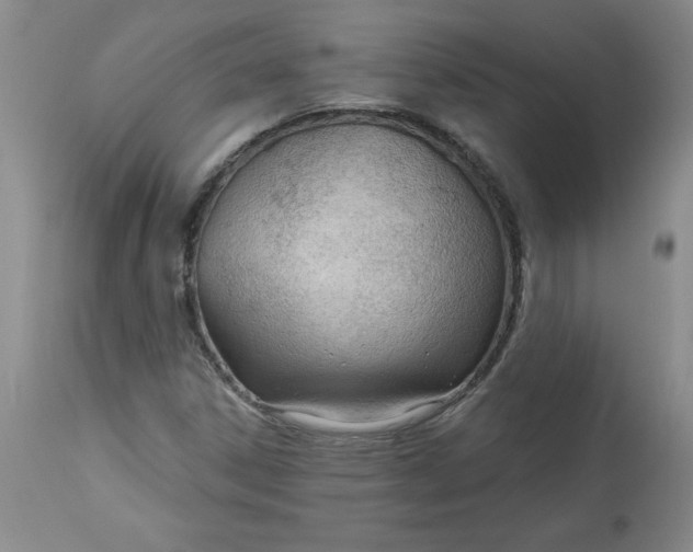 X0000113131306200909251229