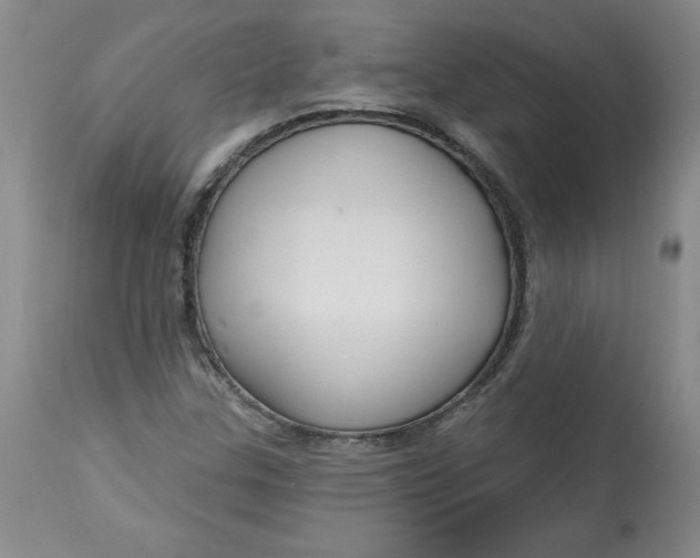 X0000113131307200909251229