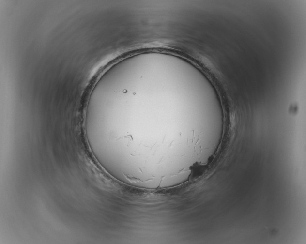 X0000113131308200909251229