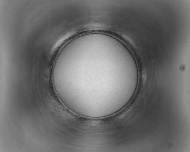 X0000113131309200909251229