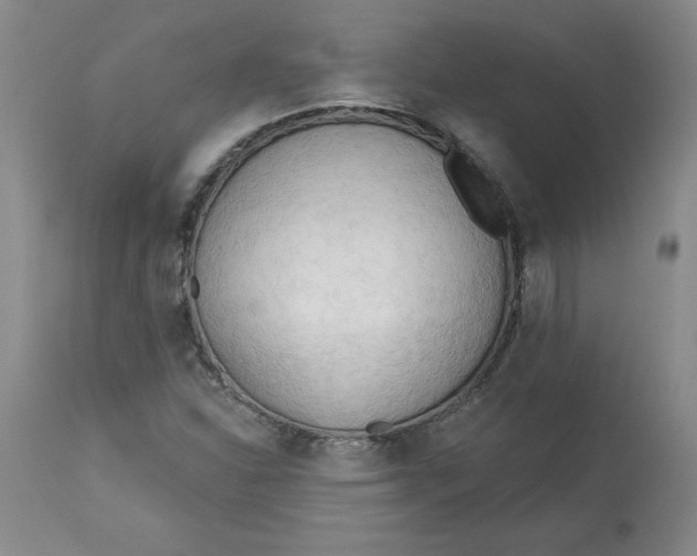 X0000113131310200909251229