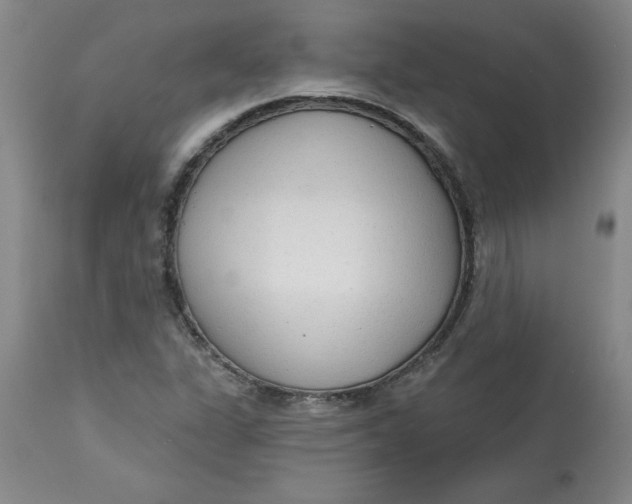 X0000113131311200909251229