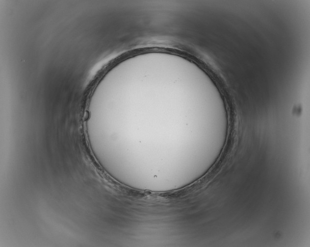 X0000113131312200909251229