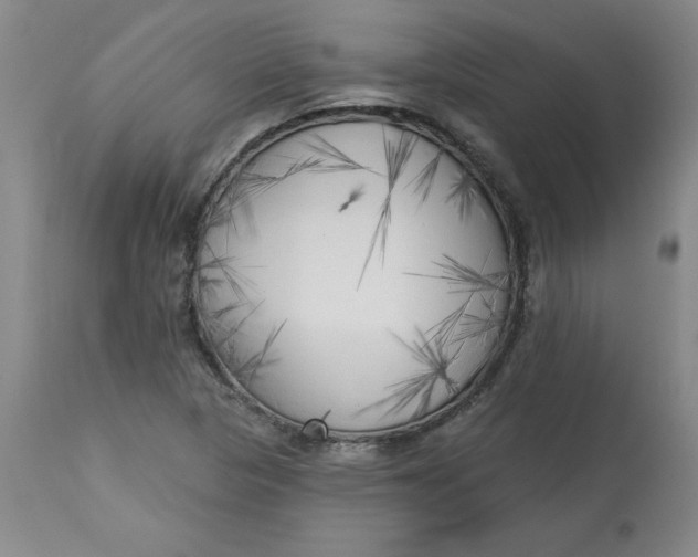 X0000113131313200909251229