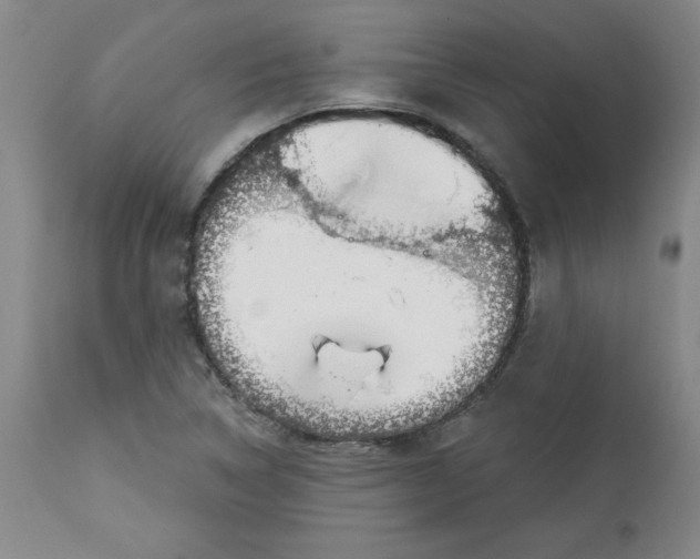 X0000113131314200909251229