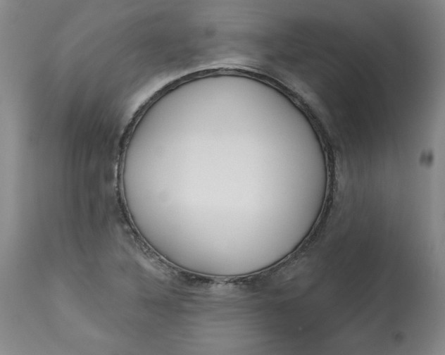 X0000113131316200909251229