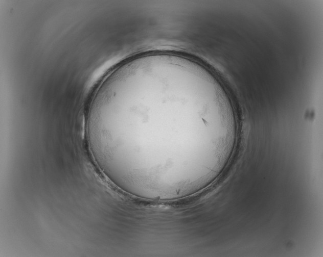 X0000113131317200909251229