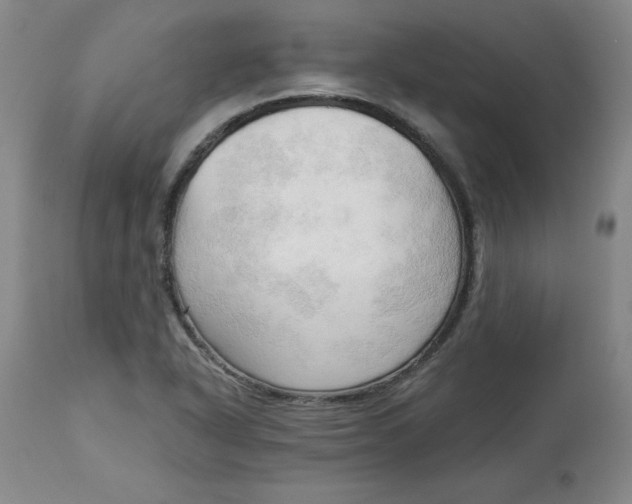 X0000113131318200909251229