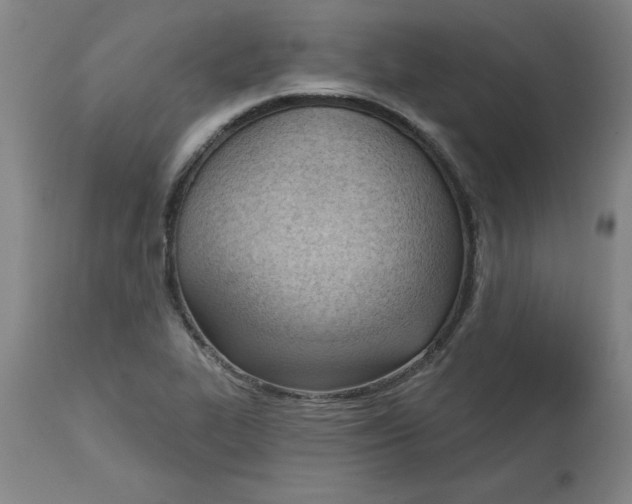 X0000113131319200909251229