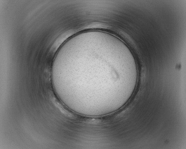 X0000113131321200909251229