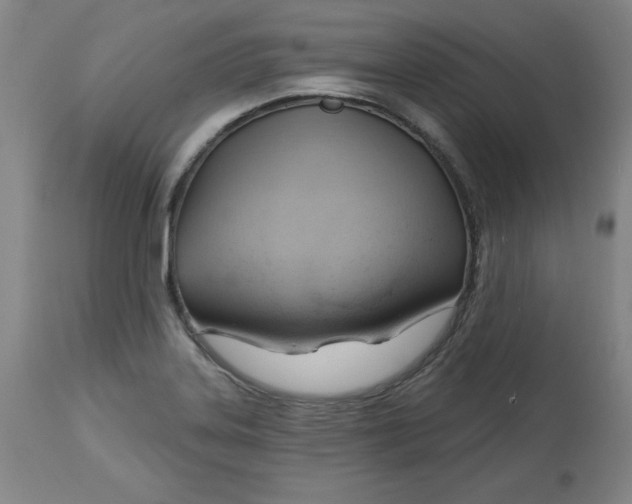 X0000113131323200909251229