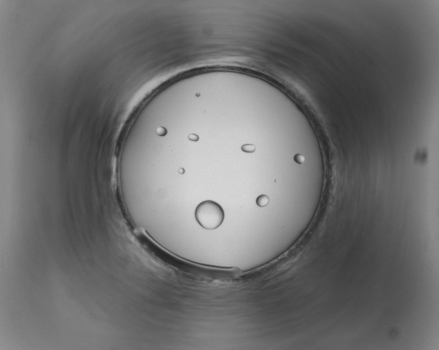 X0000113131324200909251229