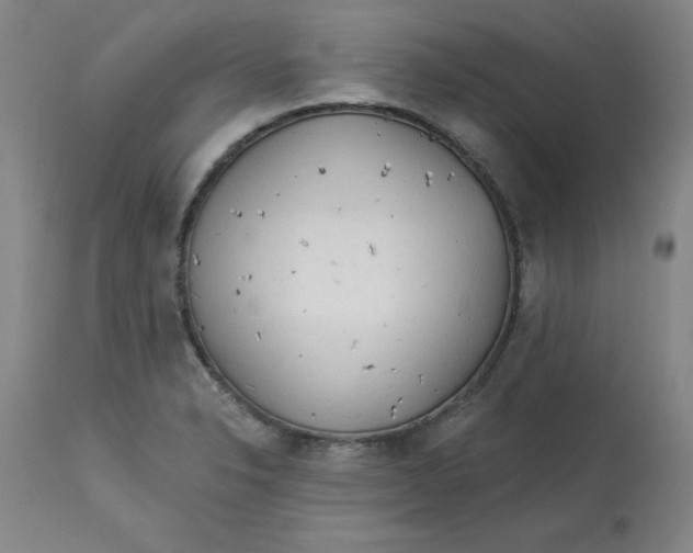 X0000113131326200909251229