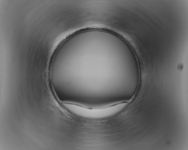 X0000113131327200909251230