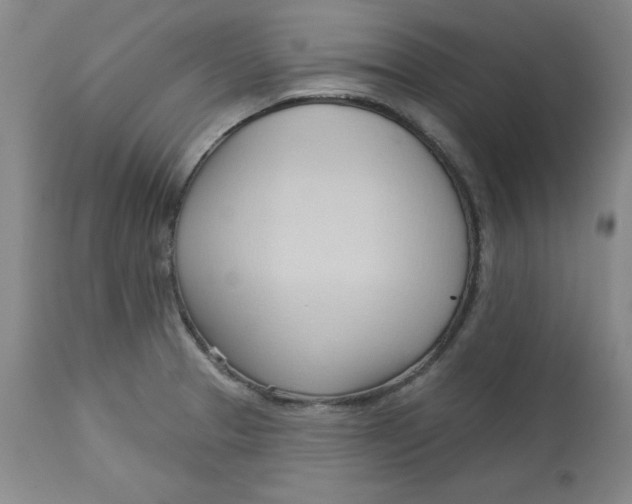 X0000113131329200909251230