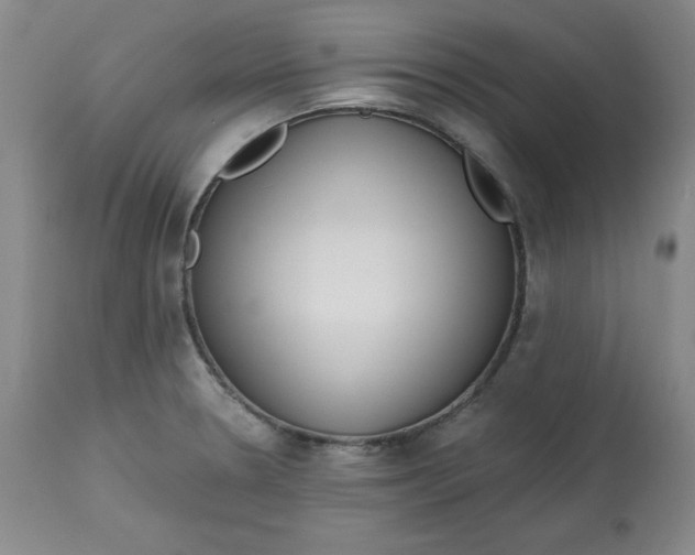 X0000113131330200909251230